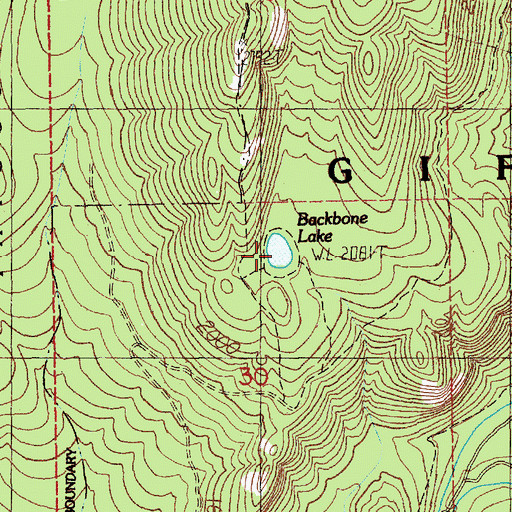 Topographic Map of Backbone Lake, WA