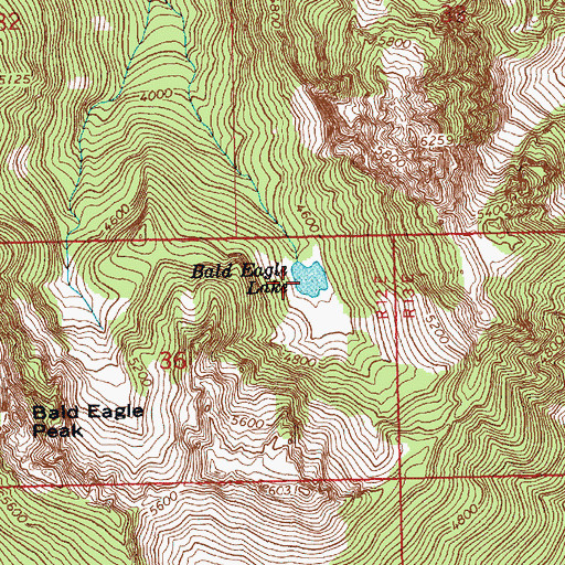 Topographic Map of Bald Eagle Lake, WA