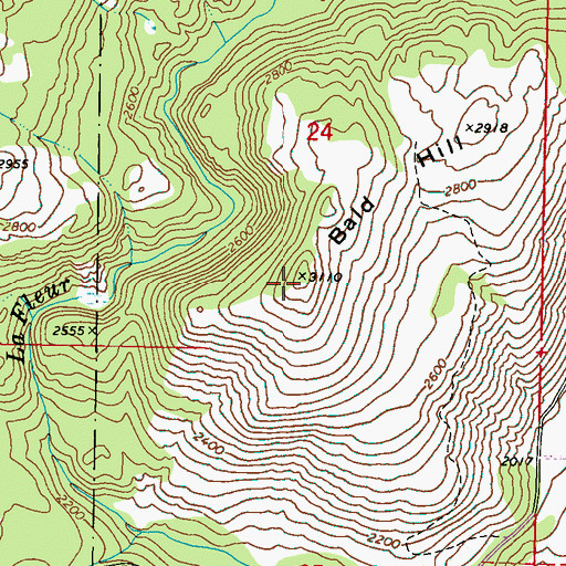Topographic Map of Bald Hill, WA
