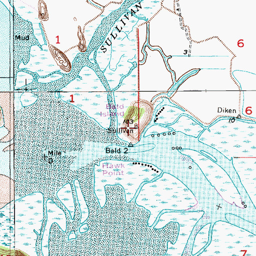 Topographic Map of Bald Island, WA
