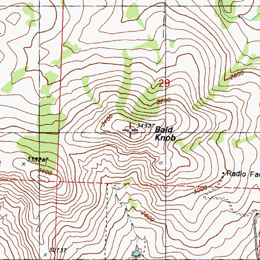 Topographic Map of Bald Knob, WA