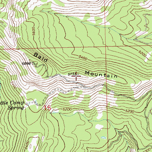 Topographic Map of Bald Mountain, WA