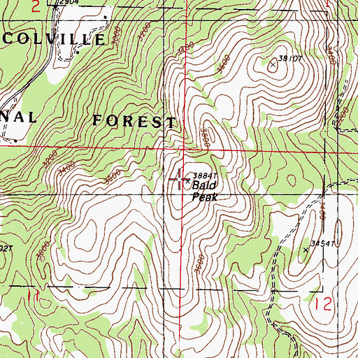 Topographic Map of Bald Peak, WA