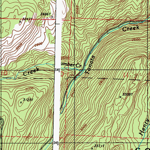 Topographic Map of Bamber Creek, WA