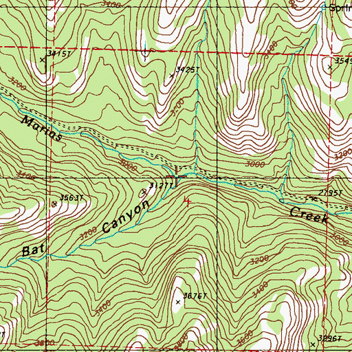 Topographic Map of Bat Canyon, WA