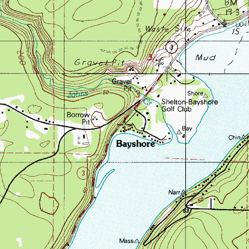 Topographic Map of Bayshore, WA