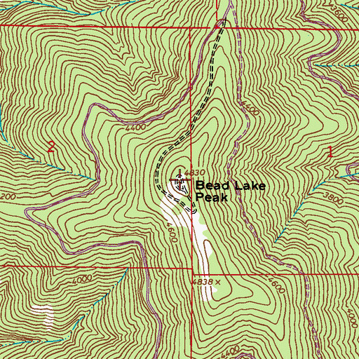 Topographic Map of Bead Lake Peak, WA