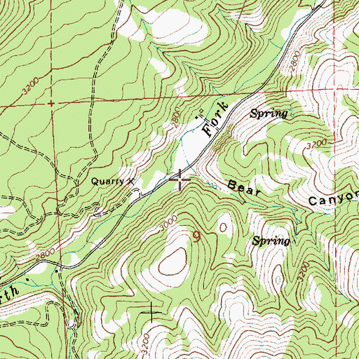 Topographic Map of Bear Canyon, WA