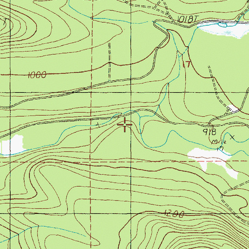 Topographic Map of Bear Creek, WA
