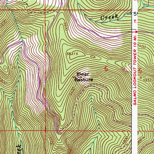 Topographic Map of Bear Pasture, WA