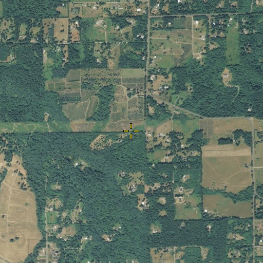Aerial/Satellite Image of Bear Prairie, WA