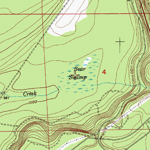 Topographic Map of Bear Swamp, WA