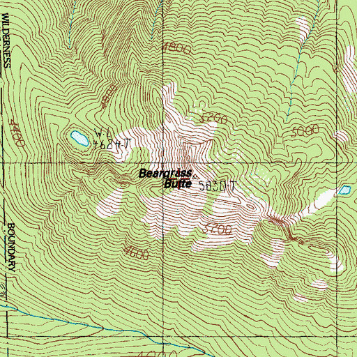 Topographic Map of Beargrass Butte, WA
