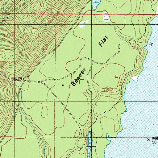 Topographic Map of Beaver Flat, WA