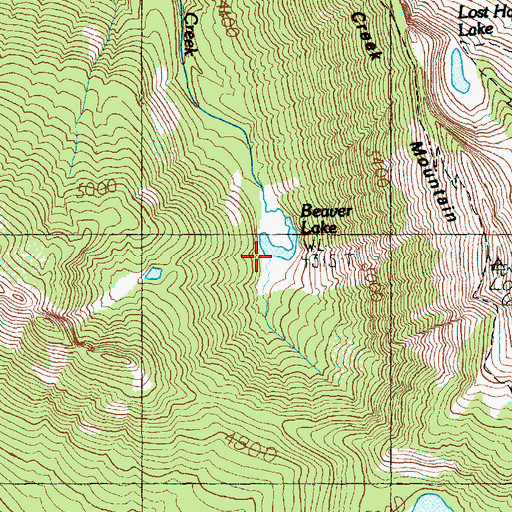 Topographic Map of Beaver Lake, WA