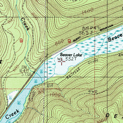 Topographic Map of Beaver Lake, WA