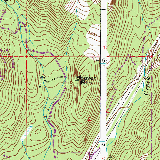 Topographic Map of Beaver Mountain, WA