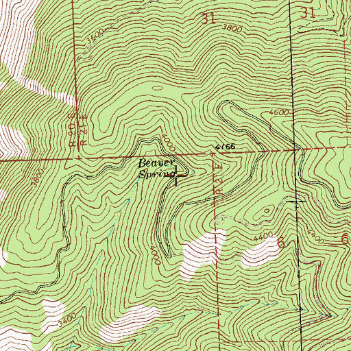 Topographic Map of Beaver Spring, WA