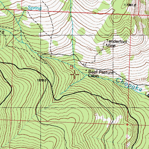 Topographic Map of Beef Pasture Cabin, WA