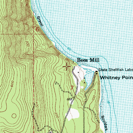 Topographic Map of Bees Mill, WA