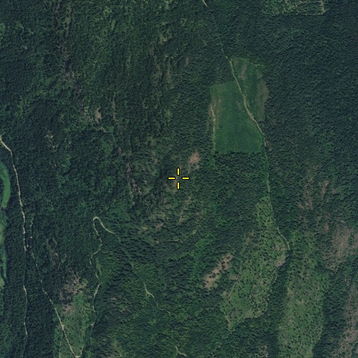 Aerial/Satellite Image of Belshazzar Mountain, WA