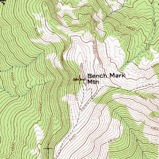 Topographic Map of Benchmark Mountain, WA