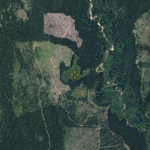 Aerial/Satellite Image of Bennett Meadow, WA