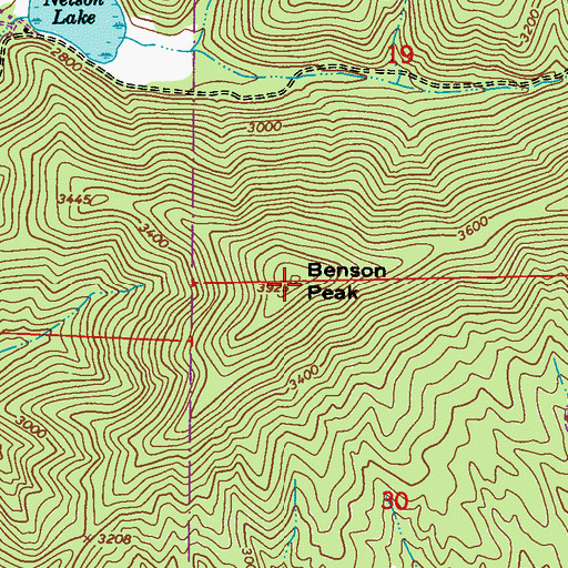 Topographic Map of Benson Peak, WA