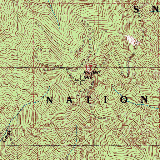 Topographic Map of Bergen Mountain, WA
