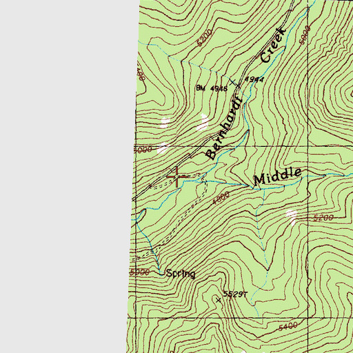 Topographic Map of Bernhardt Creek, WA