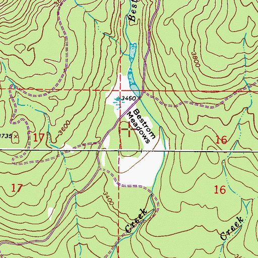 Topographic Map of Bestrom Meadows, WA