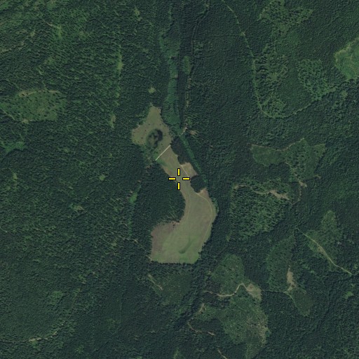 Aerial/Satellite Image of Bestrom Meadows, WA