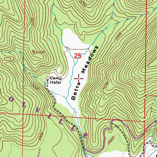 Topographic Map of Betts Meadows, WA