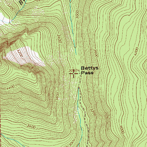 Topographic Map of Bettys Pass, WA