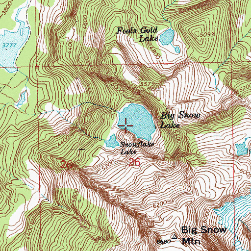 Topographic Map of Big Snow Lake, WA
