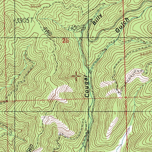 Topographic Map of Billy Goat Gulch, WA