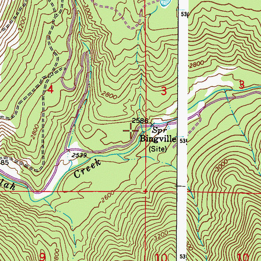 Topographic Map of Bingville, WA