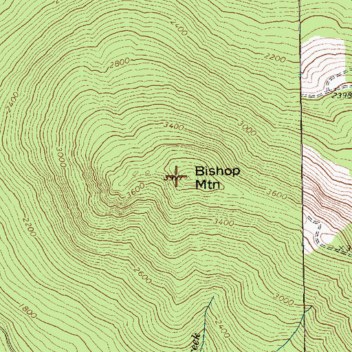 Topographic Map of Bishop Mountain, WA