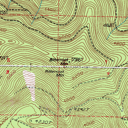 Topographic Map of Bitterfoot Mountain, WA