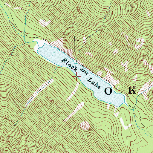 Topographic Map of Black Lake, WA