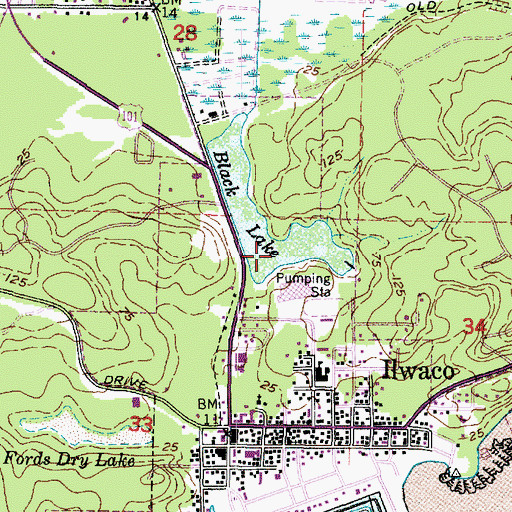 Topographic Map of Black Lake, WA