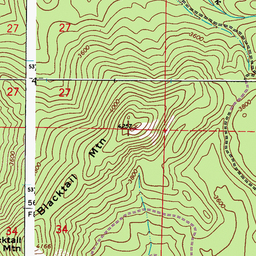 Topographic Map of Blacktail Mountain, WA