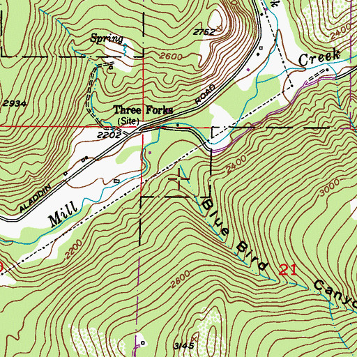Topographic Map of Blue Bird Canyon, WA