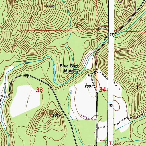 Topographic Map of Blue Bird Mine, WA