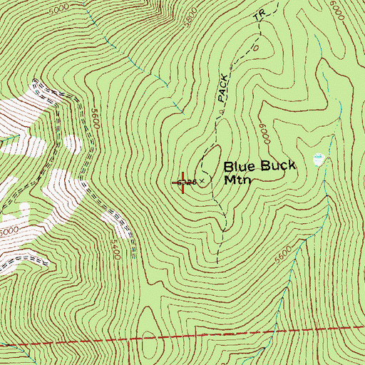 Topographic Map of Blue Buck Mountain, WA
