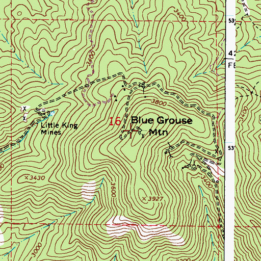 Topographic Map of Blue Grouse Mountain, WA