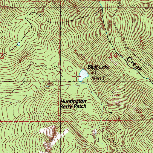 Topographic Map of Bluff Lake, WA