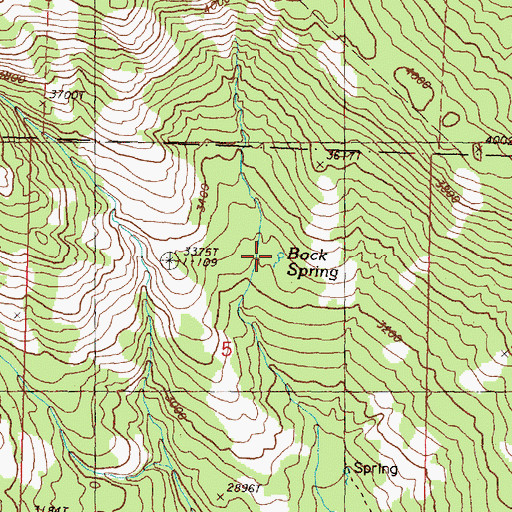 Topographic Map of Bock Spring, WA