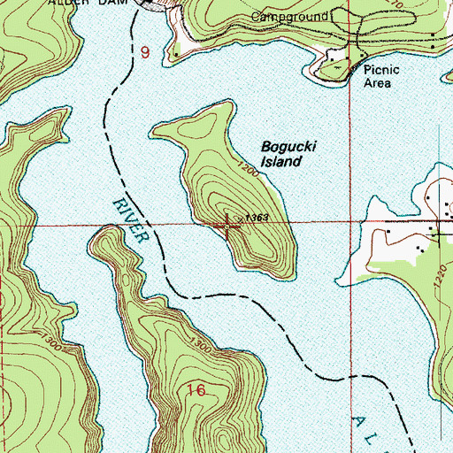 Topographic Map of Bogucki Island, WA