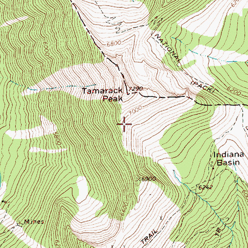 Topographic Map of Bonita Creek, WA
